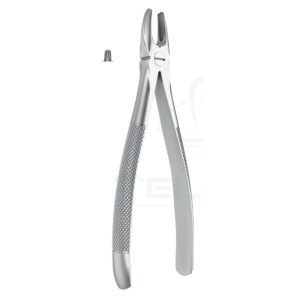 Extracting Forceps English Pattern